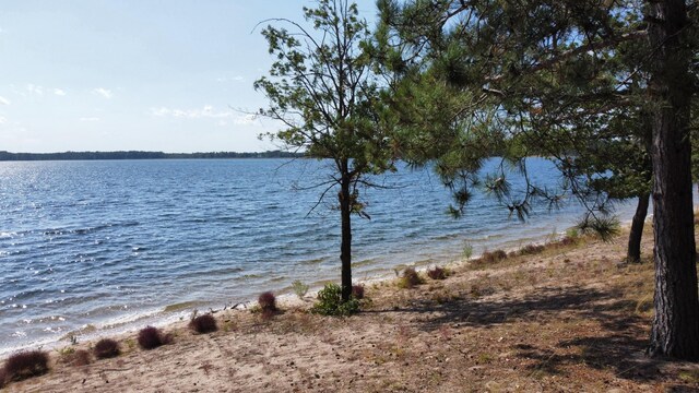 24126 County Road 19, Merrifield, MN 56465 - water view