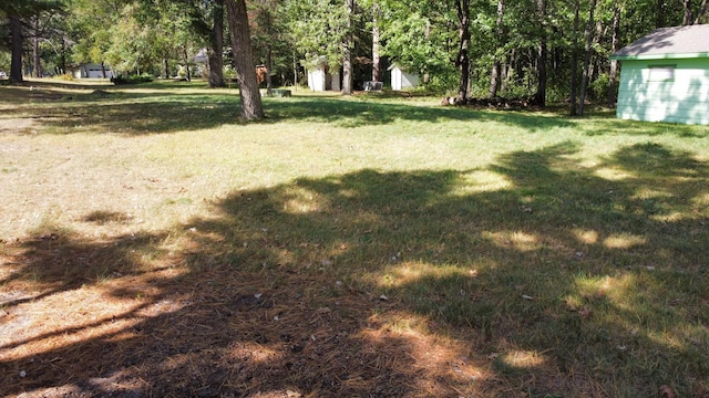 24126 County Road 19, Merrifield, MN 56465 - view of grassy yard