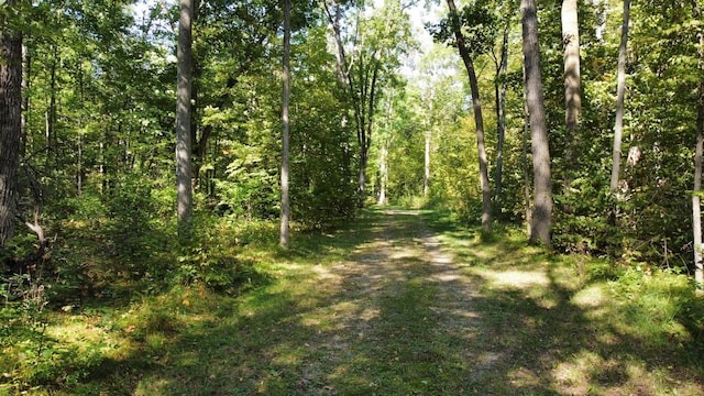 24126 County Road 19, Merrifield, MN 56465 - view of street with a view of trees