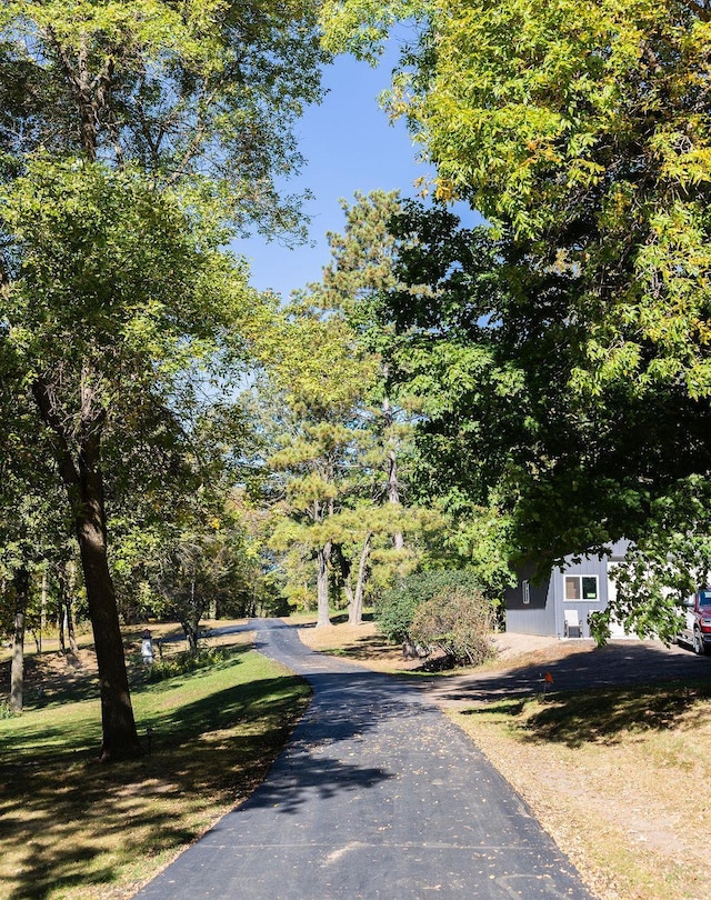 50165 Sailer Rd, Frazee, MN 56544 - view of street