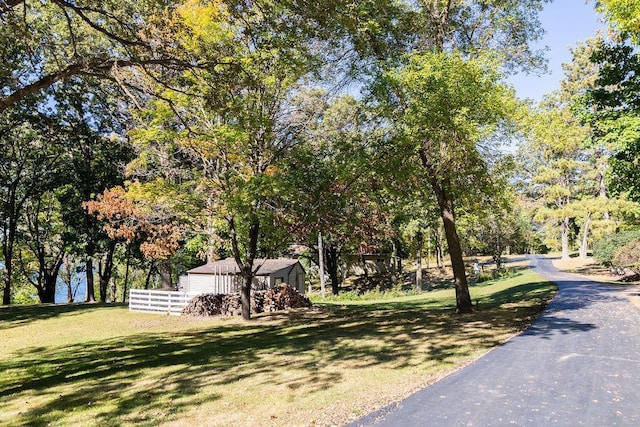 50165 Sailer Rd, Frazee, MN 56544 - view of yard
