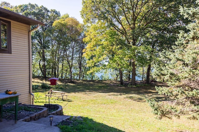 50165 Sailer Rd, Frazee, MN 56544 - view of yard