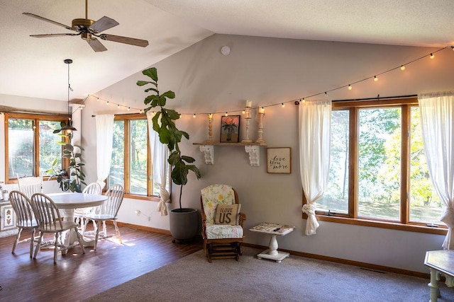 50165 Sailer Rd, Frazee, MN 56544 - interior space with ceiling fan, lofted ceiling, plenty of natural light, and hardwood / wood-style floors