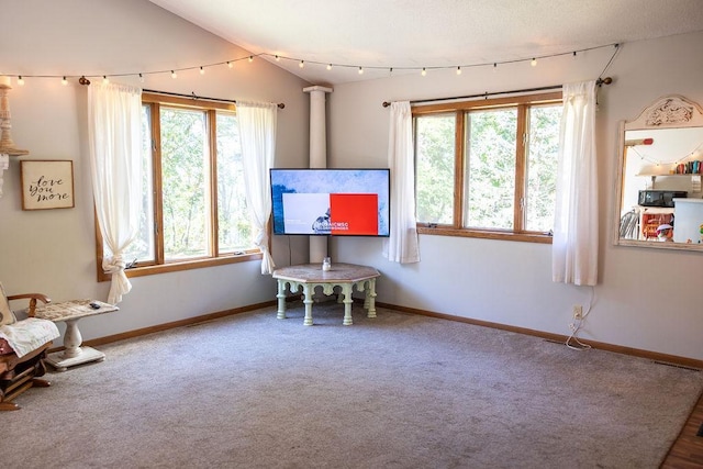 50165 Sailer Rd, Frazee, MN 56544 - playroom with a wealth of natural light, vaulted ceiling, and carpet flooring