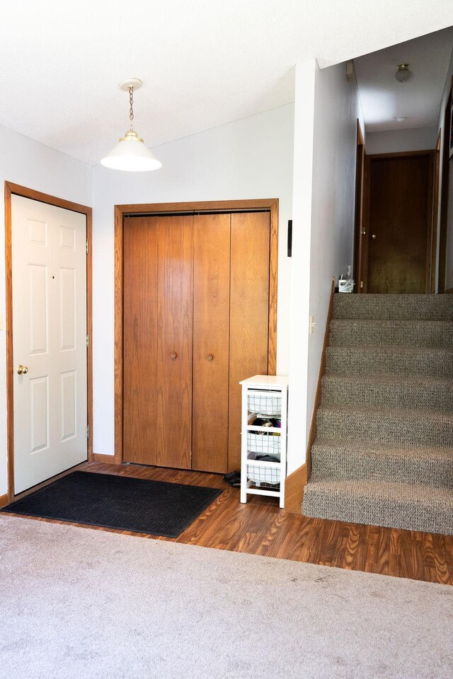 50165 Sailer Rd, Frazee, MN 56544 - entryway featuring dark wood-type flooring