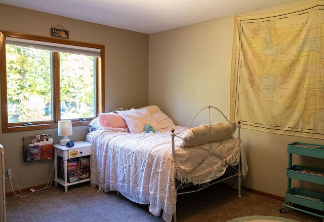 50165 Sailer Rd, Frazee, MN 56544 - bedroom with carpet