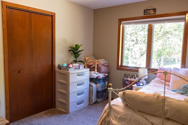 50165 Sailer Rd, Frazee, MN 56544 - bedroom featuring a closet and carpet flooring