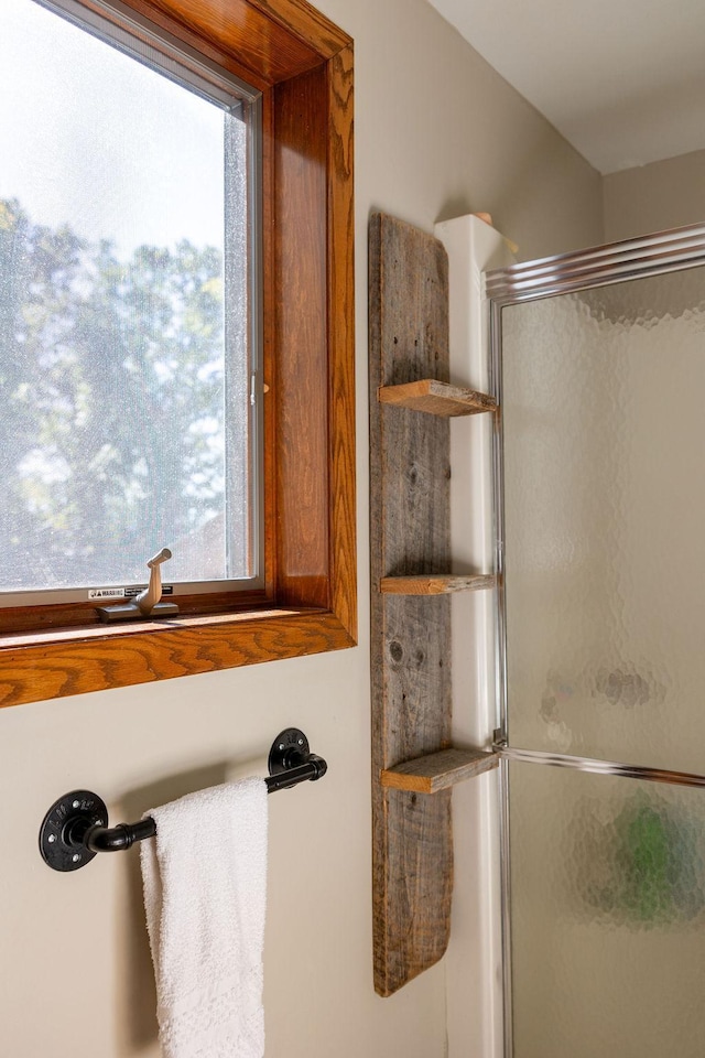 50165 Sailer Rd, Frazee, MN 56544 - bathroom featuring an enclosed shower