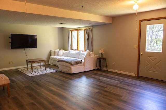 50165 Sailer Rd, Frazee, MN 56544 - living room with a textured ceiling and dark wood-type flooring