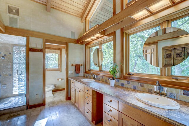 bathroom with a healthy amount of sunlight, vanity, and toilet