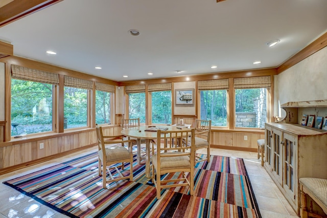 dining space featuring wood walls and a healthy amount of sunlight