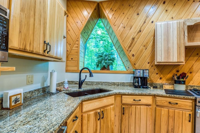 56008 County Road 4, Spring Lake, MN 56680 - kitchen with a sink, light stone countertops, and wooden walls