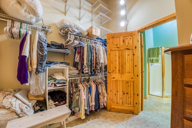 walk in closet with light colored carpet