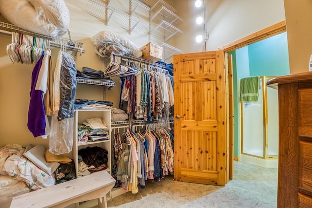 56008 County Road 4, Spring Lake, MN 56680 - spacious closet with carpet and a towering ceiling
