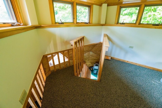 stairs with carpet flooring