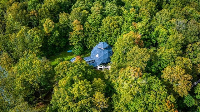 56008 County Road 4, Spring Lake, MN 56680 - aerial view of property and surrounding area with a forest