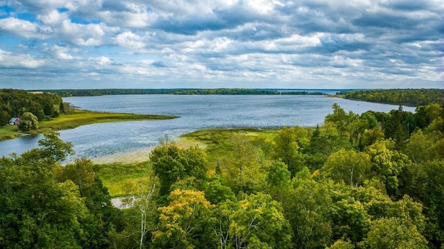 56008 County Road 4, Spring Lake, MN 56680 - water view