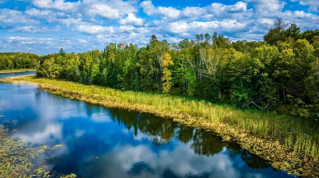 56008 County Road 4, Spring Lake, MN 56680 - water view with a forest