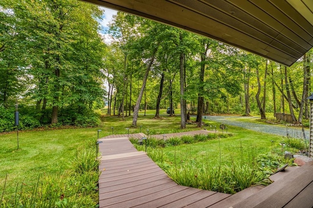 56008 County Road 4, Spring Lake, MN 56680 - view of grassy yard