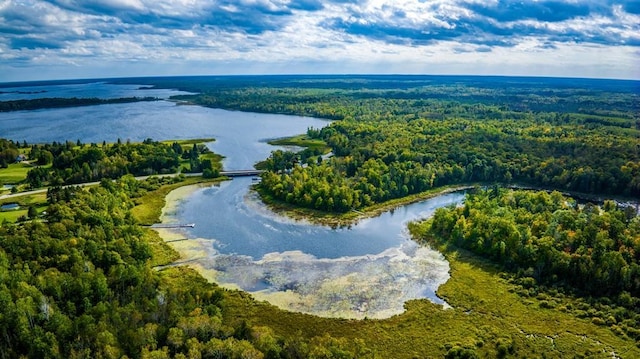 56008 County Road 4, Spring Lake, MN 56680 - drone / aerial view of a heavily wooded area and a nearby body of water