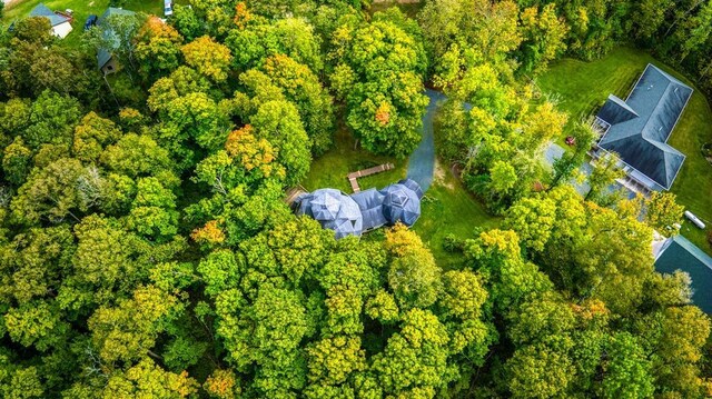 56008 County Road 4, Spring Lake, MN 56680 - aerial view of property and surrounding area