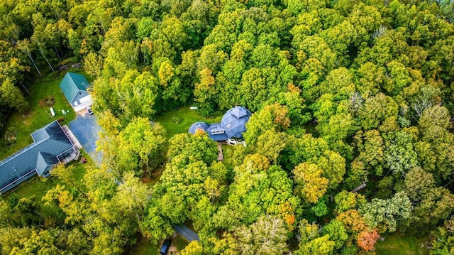 56008 County Road 4, Spring Lake, MN 56680 - view of property location featuring a heavily wooded area