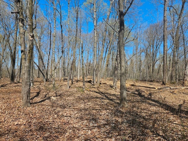 56008 County Road 4, Spring Lake, MN 56680 - photo 93