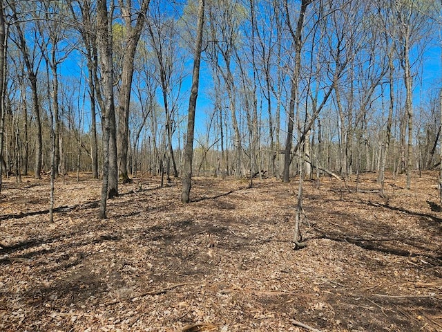 56008 County Road 4, Spring Lake, MN 56680 - photo 94