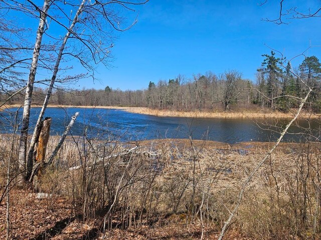 56008 County Road 4, Spring Lake, MN 56680 - photo 96