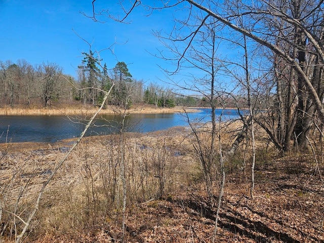 56008 County Road 4, Spring Lake, MN 56680 - photo 97