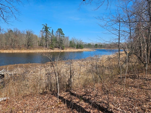 56008 County Road 4, Spring Lake, MN 56680 - photo 98