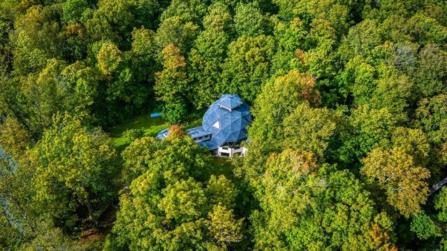 56008 County Road 4, Spring Lake, MN 56680 - photo 49