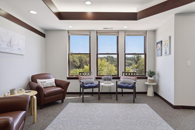 sitting room with dark carpet