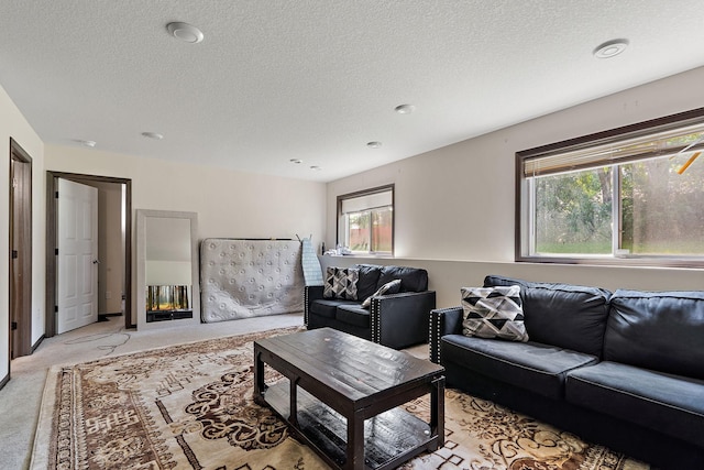 living room with light carpet, a healthy amount of sunlight, and a textured ceiling