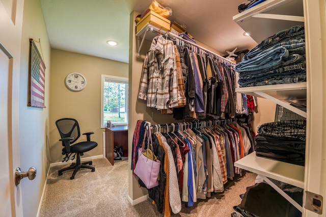 walk in closet featuring light carpet