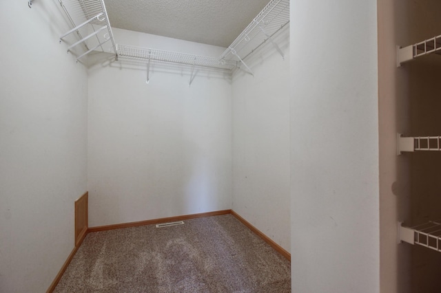 spacious closet featuring carpet floors