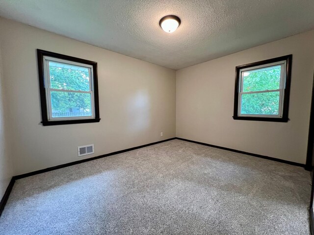 carpeted empty room featuring a textured ceiling and plenty of natural light