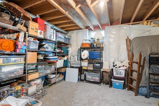 view of storage room