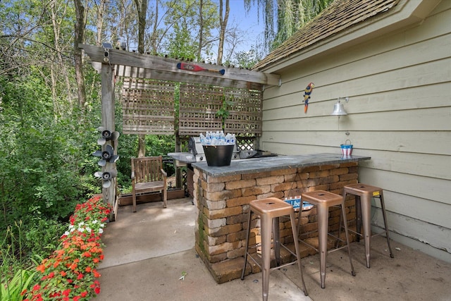 view of patio / terrace featuring exterior bar