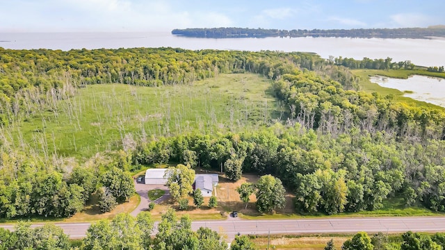 bird's eye view with a water view and a view of trees