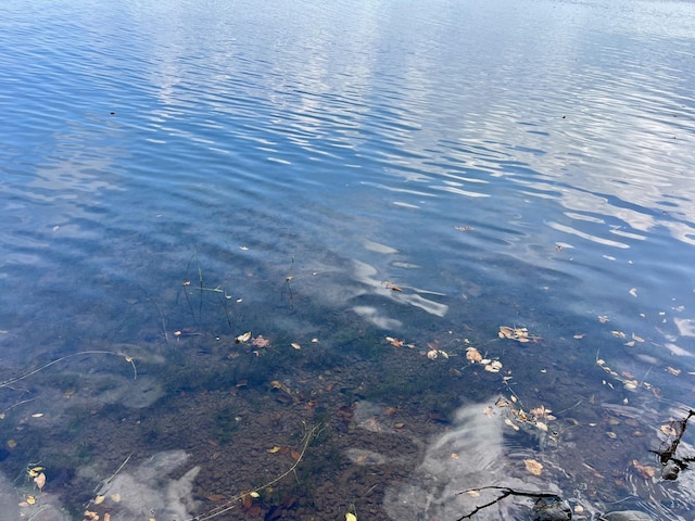 90520 Island Loop, Windemere Twp, MN 55783 - view of water feature
