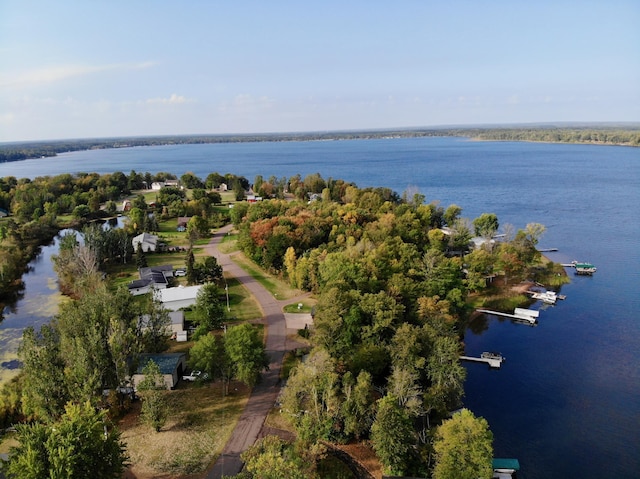 90520 Island Loop, Windemere Twp, MN 55783 - bird's eye view with a water view