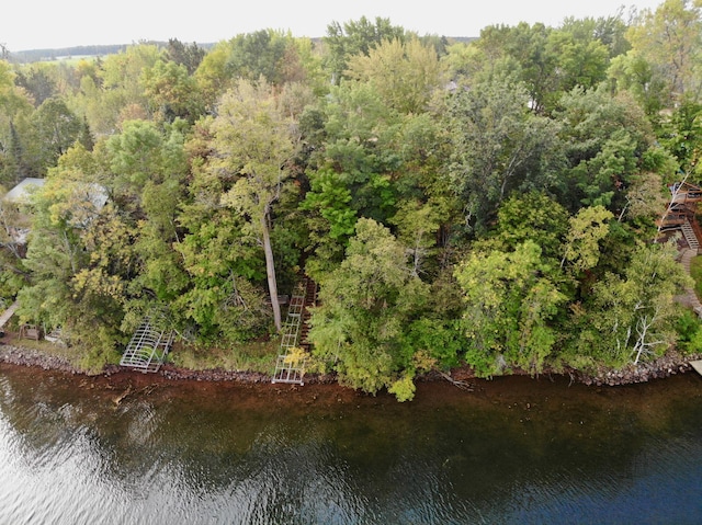 90520 Island Loop, Windemere Twp, MN 55783 - bird's eye view with a view of trees and a water view