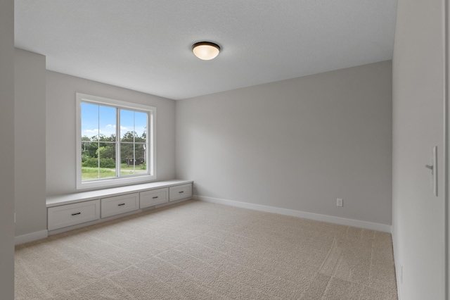 19003 Ulysses St NW, Elk River, MN 55330 - photo 14