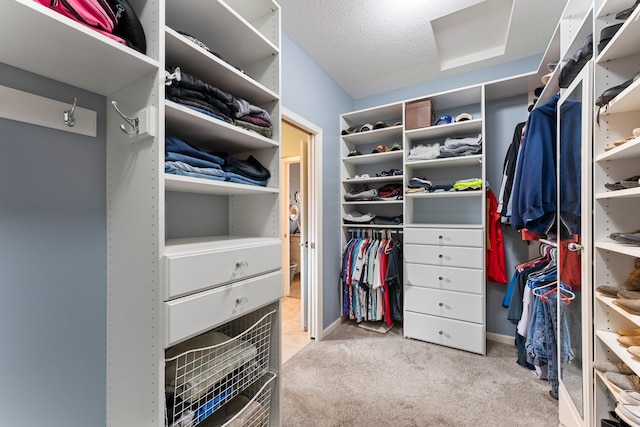 spacious closet with attic access and carpet floors