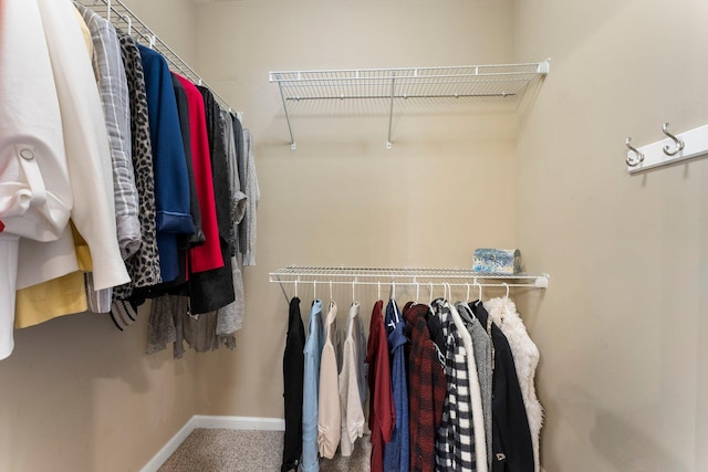 view of spacious closet