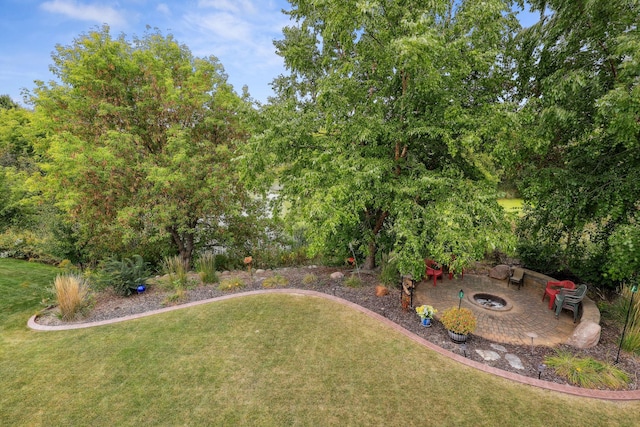 view of yard featuring a patio area and a fire pit