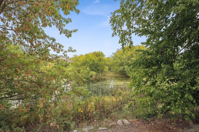 view of landscape