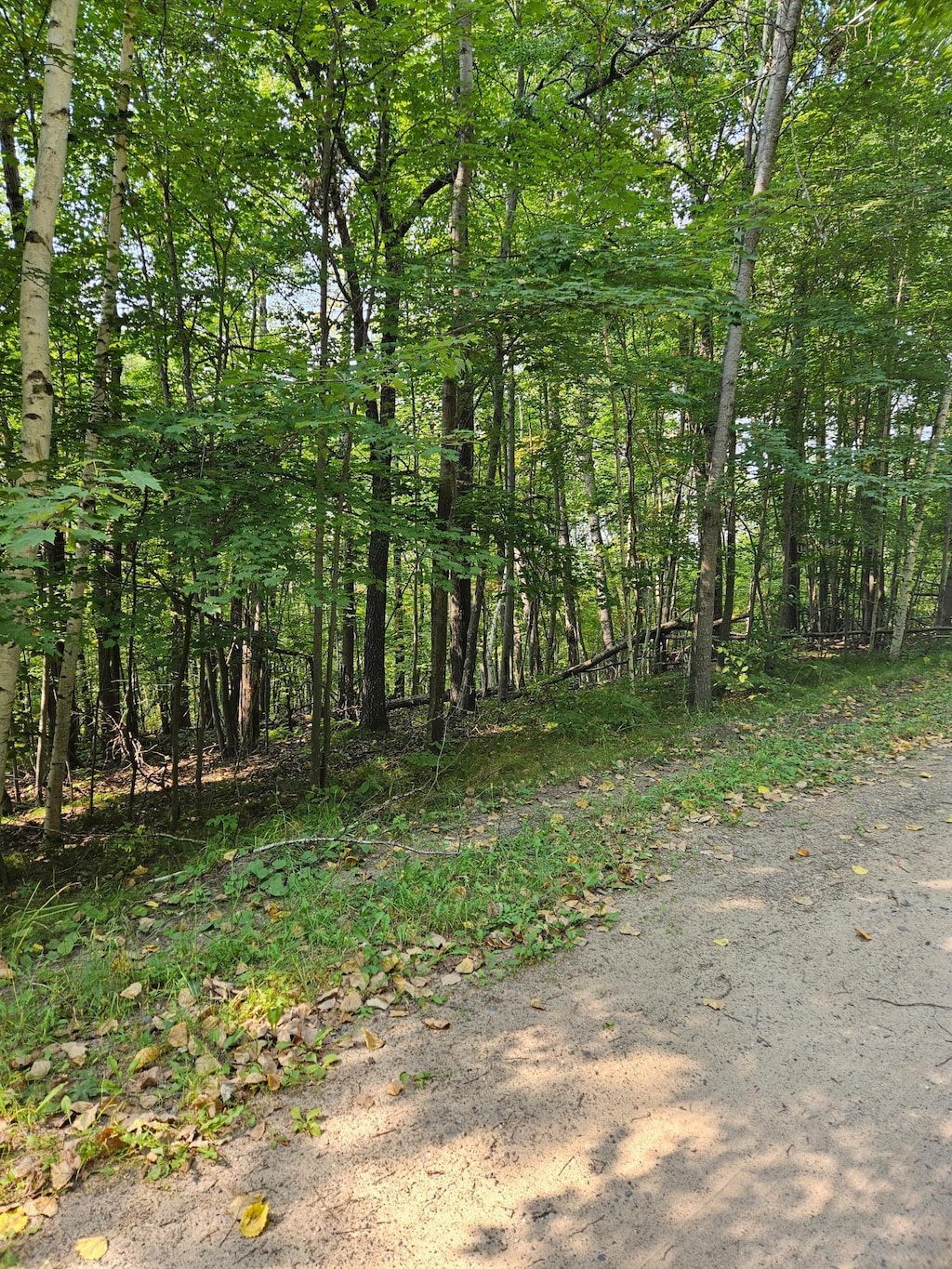 LOTS41-43 Catskill Dr, Breezy Point, MN 56472