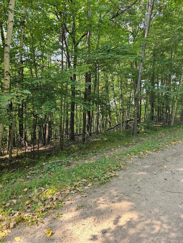 LOTS41-43 Catskill Dr, Breezy Point, MN 56472